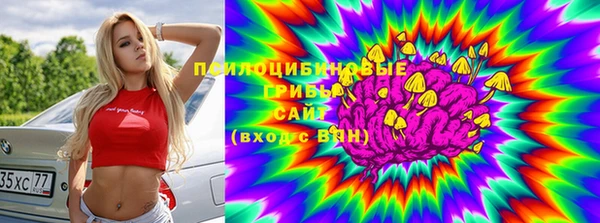 2c-b Верхний Тагил